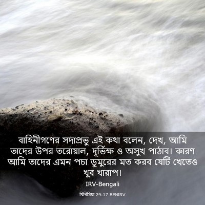 Picture 03 - যিৰিমিয়া 29:17 BENIRV - বাহিনীগণের - Bible Verse Picture
