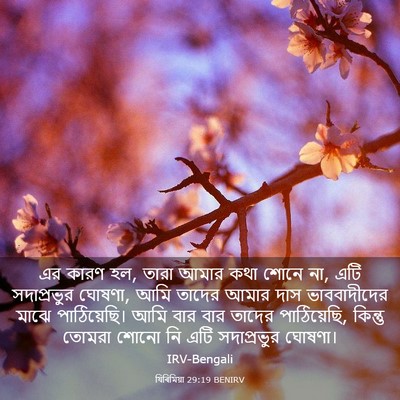 Picture 03 - যিৰিমিয়া 29:19 BENIRV - এর কারণ হল, তারা - Bible Verse Picture