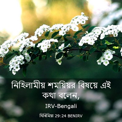 Picture 03 - যিৰিমিয়া 29:24 BENIRV - নিহিলামীয় - Bible Verse Picture