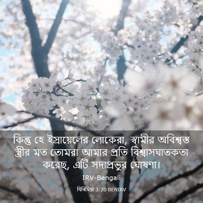 Picture 03 - যিৰিমিয়া 3:20 BENIRV - কিন্তু হে - Bible Verse Picture