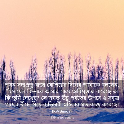 Picture 03 - যিৰিমিয়া 3:6 BENIRV - তখন সদাপ্রভু রাজা - Bible Verse Picture
