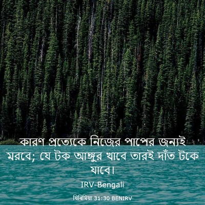 Picture 03 - যিৰিমিয়া 31:30 BENIRV - কারণ প্রত্যেকে - Bible Verse Picture