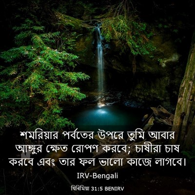Picture 03 - যিৰিমিয়া 31:5 BENIRV - শমরিয়ার পর্বতের - Bible Verse Picture