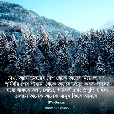 Picture 03 - যিৰিমিয়া 31:8 BENIRV - দেখ, আমি উত্তরের - Bible Verse Picture