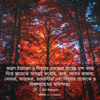 Picture 03 - যিৰিমিয়া 32:32 BENIRV - কারণ ইস্রায়েল ও - Bible Verse Picture