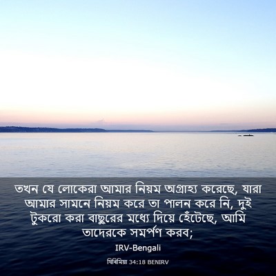 Picture 03 - যিৰিমিয়া 34:18 BENIRV - তখন যে লোকেরা আমার - Bible Verse Picture