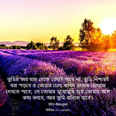 Picture 03 - যিৰিমিয়া 34:3 BENIRV - তুমিও তার হাত থেকে - Bible Verse Picture
