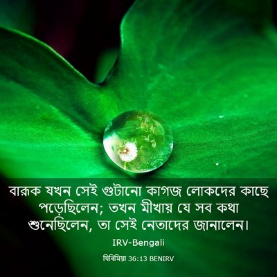 Picture 03 - যিৰিমিয়া 36:13 BENIRV - বারূক যখন সেই - Bible Verse Picture