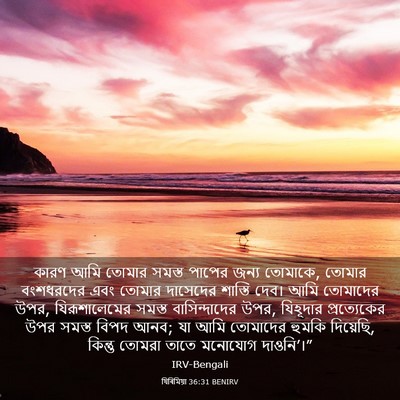 Picture 03 - যিৰিমিয়া 36:31 BENIRV - কারণ আমি তোমার - Bible Verse Picture