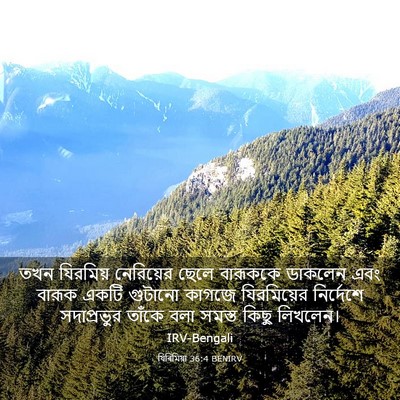 Picture 03 - যিৰিমিয়া 36:4 BENIRV - তখন যিরমিয় - Bible Verse Picture