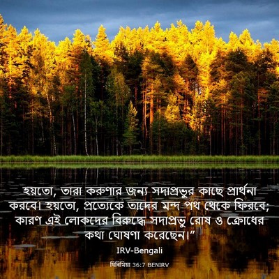 Picture 03 - যিৰিমিয়া 36:7 BENIRV - হয়তো, তারা করুণার - Bible Verse Picture