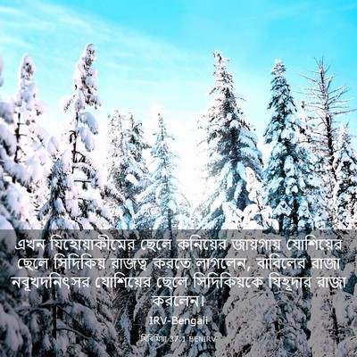Picture 03 - যিৰিমিয়া 37:1 BENIRV - এখন যিহোয়াকীমের - Bible Verse Picture