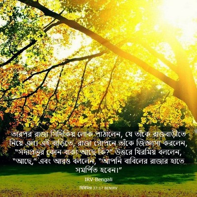 Picture 03 - যিৰিমিয়া 37:17 BENIRV - তারপর রাজা - Bible Verse Picture