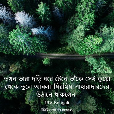 Picture 03 - যিৰিমিয়া 38:13 BENIRV - তখন তারা দড়ি ধরে - Bible Verse Picture