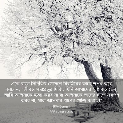 Picture 03 - যিৰিমিয়া 38:16 BENIRV - এতে রাজা সিদিকিয় - Bible Verse Picture
