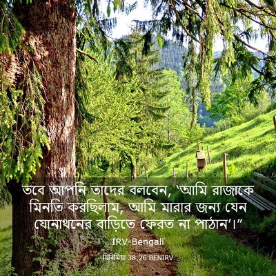 Picture 03 - যিৰিমিয়া 38:26 BENIRV - তবে আপনি তাদের - Bible Verse Picture