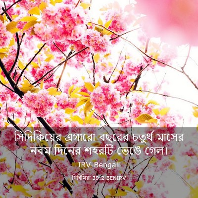 Picture 03 - যিৰিমিয়া 39:2 BENIRV - সিদিকিয়ের এগারো - Bible Verse Picture