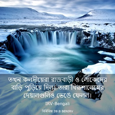 Picture 03 - যিৰিমিয়া 39:8 BENIRV - তখন কলদীয়েরা - Bible Verse Picture
