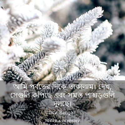 Picture 03 - যিৰিমিয়া 4:24 BENIRV - আমি পর্বতের দিকে - Bible Verse Picture