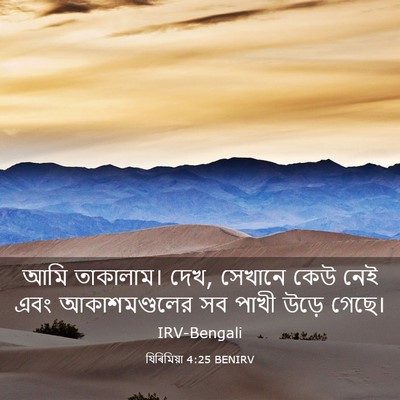 Picture 03 - যিৰিমিয়া 4:25 BENIRV - আমি তাকালাম। দেখ, - Bible Verse Picture