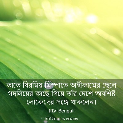 Picture 03 - যিৰিমিয়া 40:6 BENIRV - তাতে যিরমিয় - Bible Verse Picture