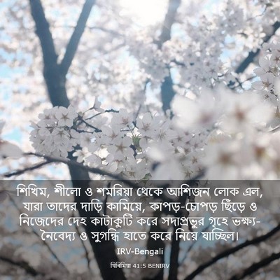 Picture 03 - যিৰিমিয়া 41:5 BENIRV - শিখিম, শীলো ও - Bible Verse Picture