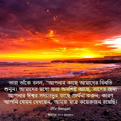 Picture 03 - যিৰিমিয়া 42:2 BENIRV - তারা তাঁকে বলল, - Bible Verse Picture