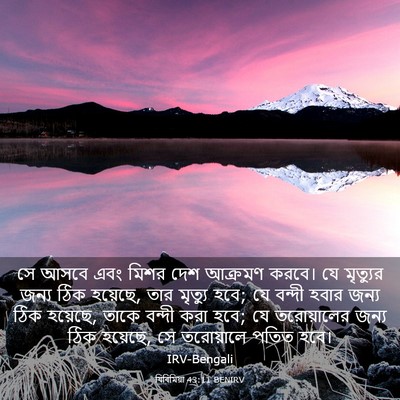 Picture 03 - যিৰিমিয়া 43:11 BENIRV - সে আসবে এবং মিশর - Bible Verse Picture