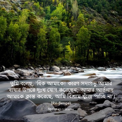 Picture 03 - যিৰিমিয়া 45:3 BENIRV - তুমি বলেছ, ‘ধিক - Bible Verse Picture