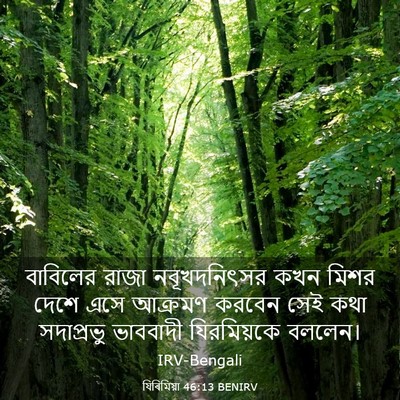 Picture 03 - যিৰিমিয়া 46:13 BENIRV - বাবিলের রাজা - Bible Verse Picture