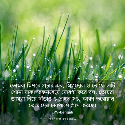 Picture 03 - যিৰিমিয়া 46:14 BENIRV - তোমরা মিশরে - Bible Verse Picture