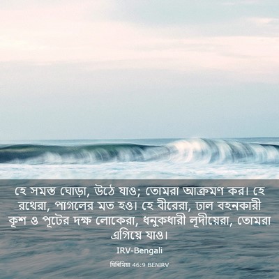 Picture 03 - যিৰিমিয়া 46:9 BENIRV - হে সমস্ত ঘোড়া, উঠে - Bible Verse Picture