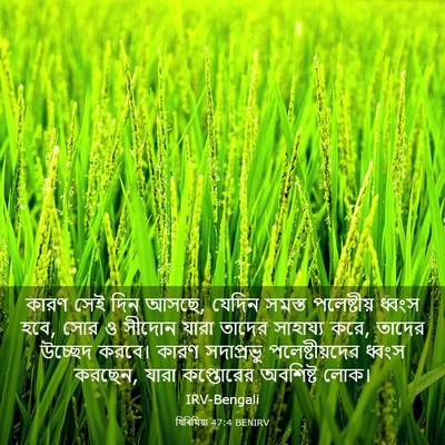 Picture 03 - যিৰিমিয়া 47:4 BENIRV - কারণ সেই দিন আসছে, - Bible Verse Picture