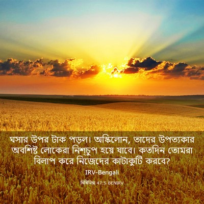 Picture 03 - যিৰিমিয়া 47:5 BENIRV - ঘসার উপর টাক পড়ল। - Bible Verse Picture