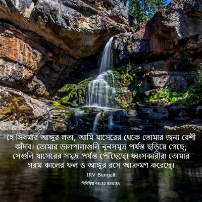 Picture 03 - যিৰিমিয়া 48:32 BENIRV - হে সিবমার আঙ্গুর - Bible Verse Picture