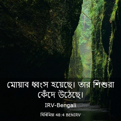 Picture 03 - যিৰিমিয়া 48:4 BENIRV - মোয়াব ধ্বংস - Bible Verse Picture