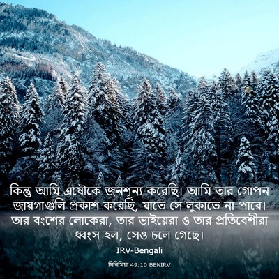 Picture 03 - যিৰিমিয়া 49:10 BENIRV - কিন্তু আমি এষৌকে - Bible Verse Picture