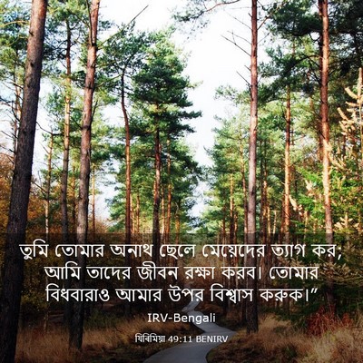 Picture 03 - যিৰিমিয়া 49:11 BENIRV - তুমি তোমার অনাথ - Bible Verse Picture