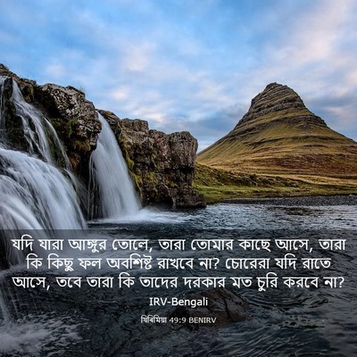 Picture 03 - যিৰিমিয়া 49:9 BENIRV - যদি যারা আঙ্গুর - Bible Verse Picture