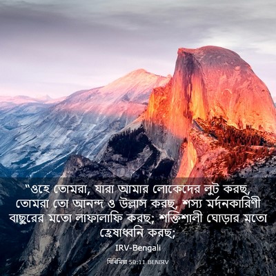 Picture 03 - যিৰিমিয়া 50:11 BENIRV - “ওহে তোমরা, যারা - Bible Verse Picture