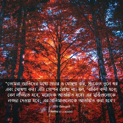 Picture 03 - যিৰিমিয়া 50:2 BENIRV - “তোমরা জাতিদের - Bible Verse Picture
