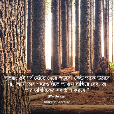 Picture 03 - যিৰিমিয়া 50:32 BENIRV - সুতরাং ওই গর্ব - Bible Verse Picture