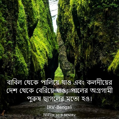 Picture 03 - যিৰিমিয়া 50:8 BENIRV - বাবিল থেকে - Bible Verse Picture