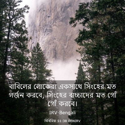 Picture 03 - যিৰিমিয়া 51:38 BENIRV - বাবিলের লোকেরা - Bible Verse Picture