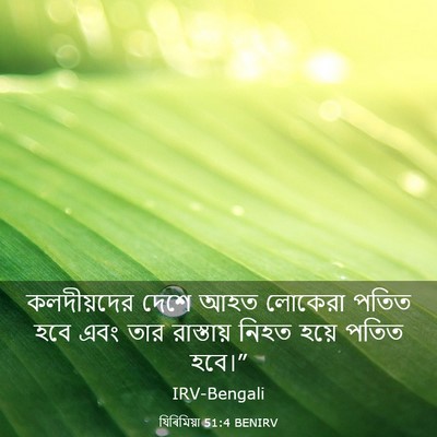 Picture 03 - যিৰিমিয়া 51:4 BENIRV - কলদীয়দের দেশে - Bible Verse Picture