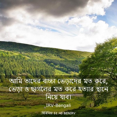 Picture 03 - যিৰিমিয়া 51:40 BENIRV - আমি তাদের বাচ্চা - Bible Verse Picture