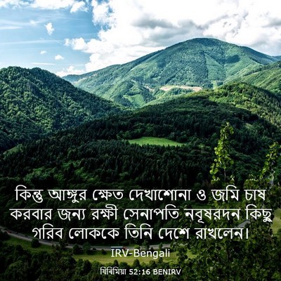 Picture 03 - যিৰিমিয়া 52:16 BENIRV - কিন্তু আঙ্গুর - Bible Verse Picture
