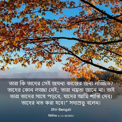 Picture 03 - যিৰিমিয়া 6:15 BENIRV - তারা কি তাদের সেই - Bible Verse Picture