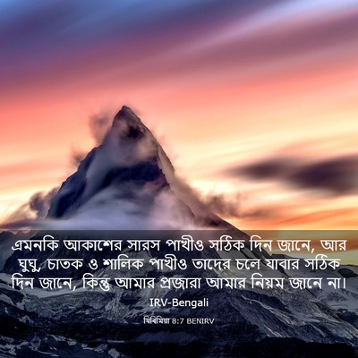 Picture 03 - যিৰিমিয়া 8:7 BENIRV - এমনকি আকাশের সারস - Bible Verse Picture