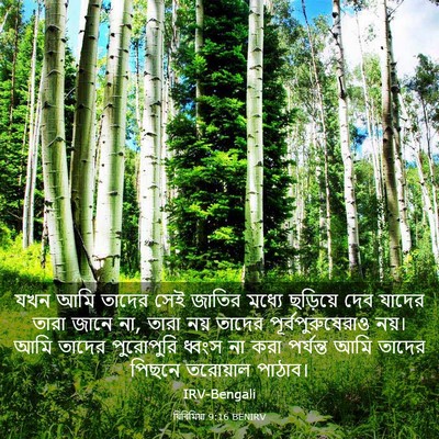 Picture 03 - যিৰিমিয়া 9:16 BENIRV - যখন আমি তাদের সেই - Bible Verse Picture